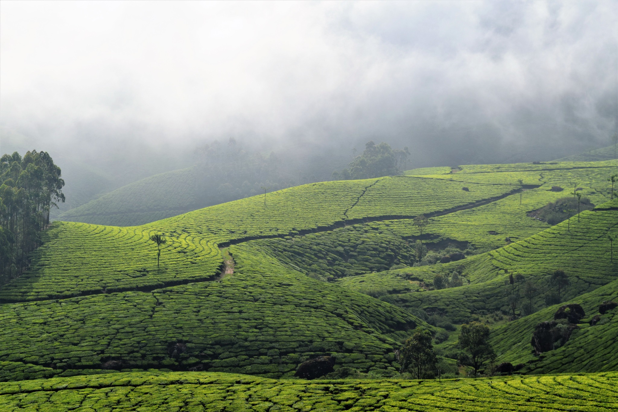 Daringbadi hills
